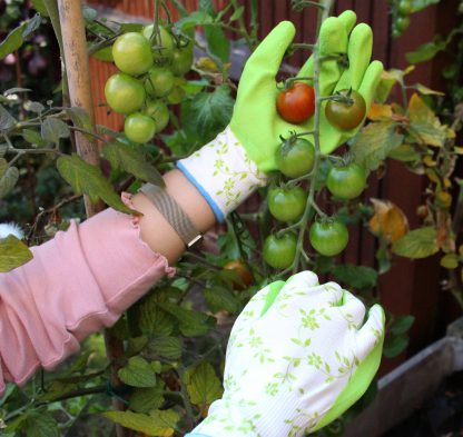 Latex Garden Gloves - 2pairs - Image 5